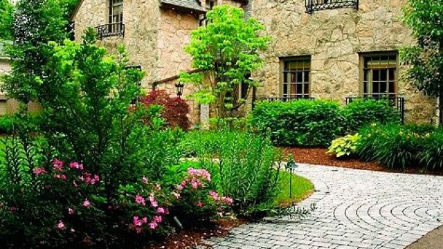 Home Language International (HLI)