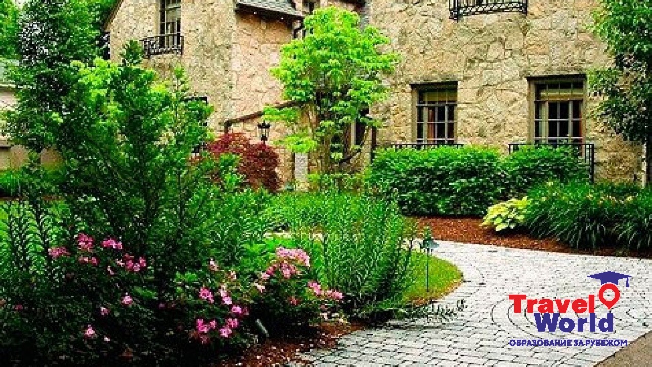 Home Language International