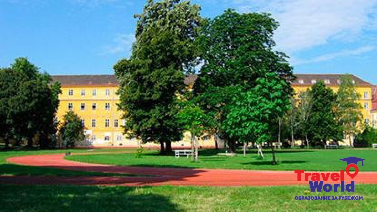ActiLingua (Вена)